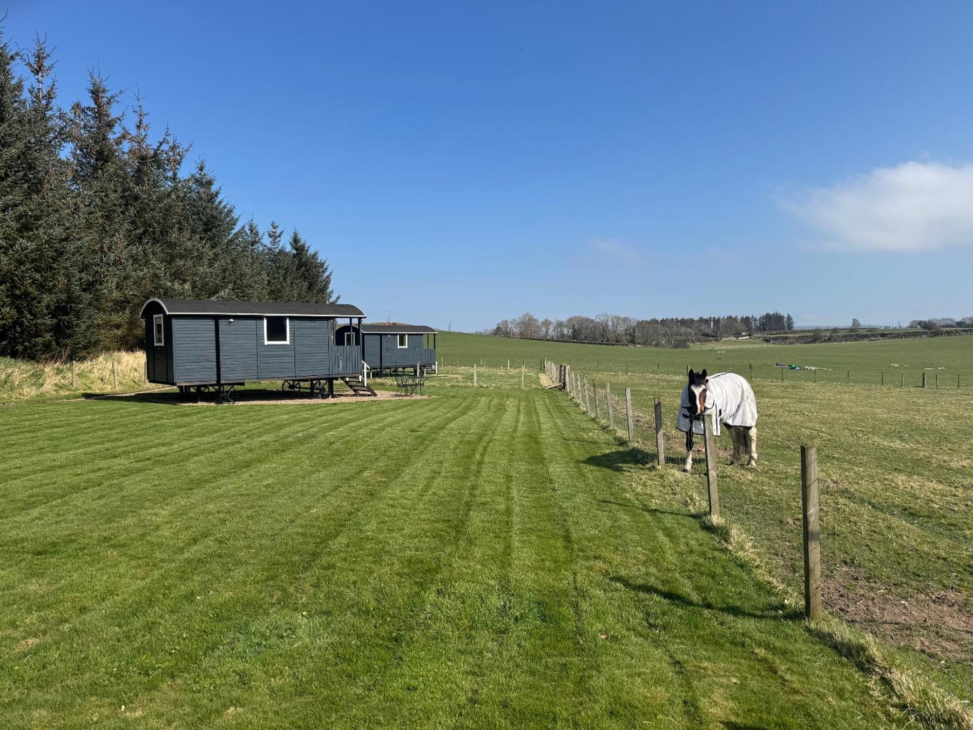 מלון Roslin Glamping מראה חיצוני תמונה